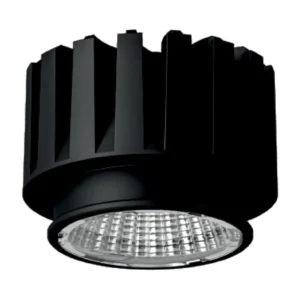 KINGSTON — Spot Lights