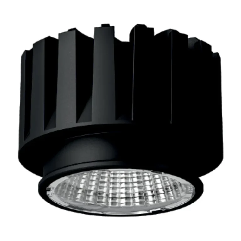 KINGSTON — Spot Lights