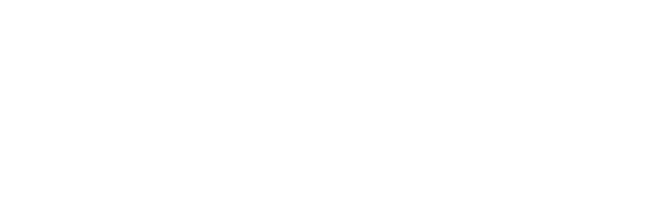 Light Plus UK Limited, registered in England and Wales, company number 16700647